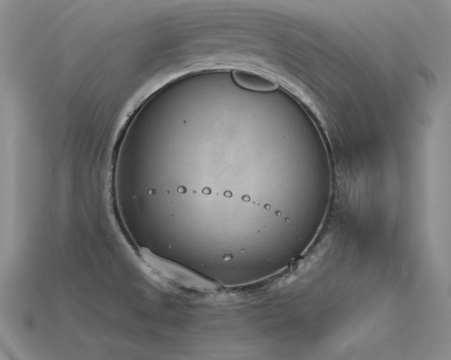 X0000115781525200911131237