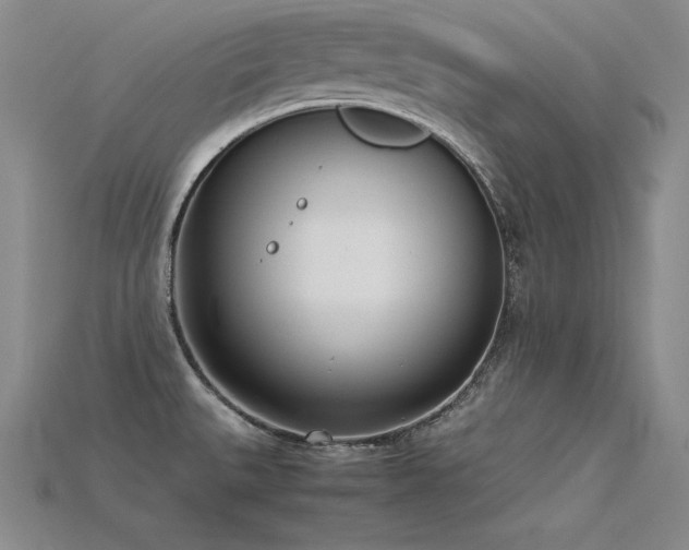 X0000115781527200911131237