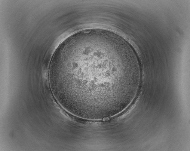 X0000115781529200911131237