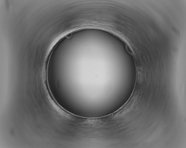 X0000115781531200911131237