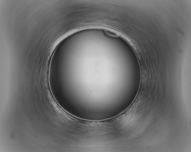 X0000115781534200911131237