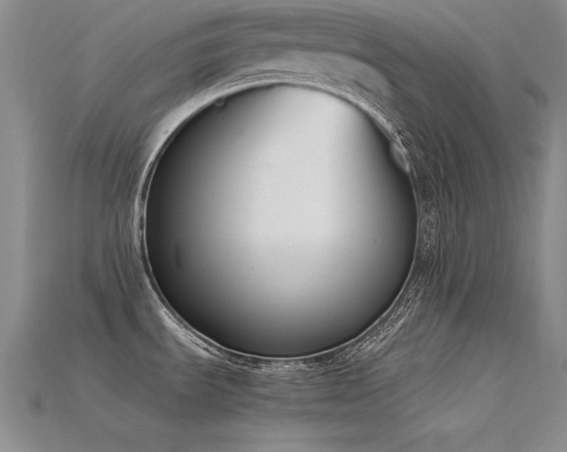 X0000115781535200911131237