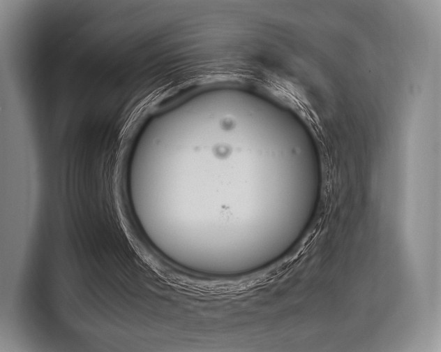 X0000115780001200911201321