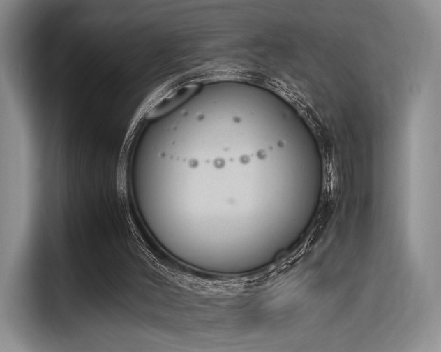 X0000115780004200911201321