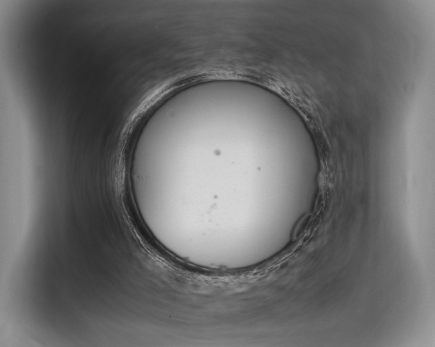 X0000115780005200911201321