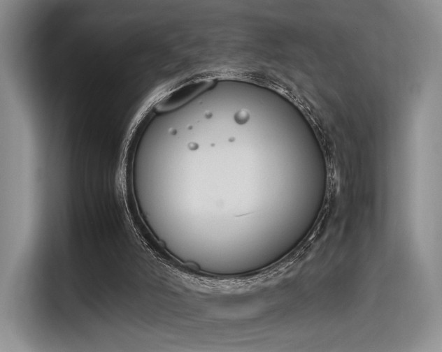 X0000115780006200911201321