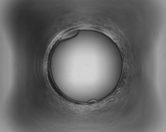 X0000115780007200911201321