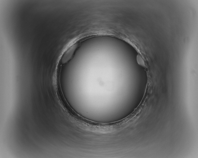 X0000115780008200911201321