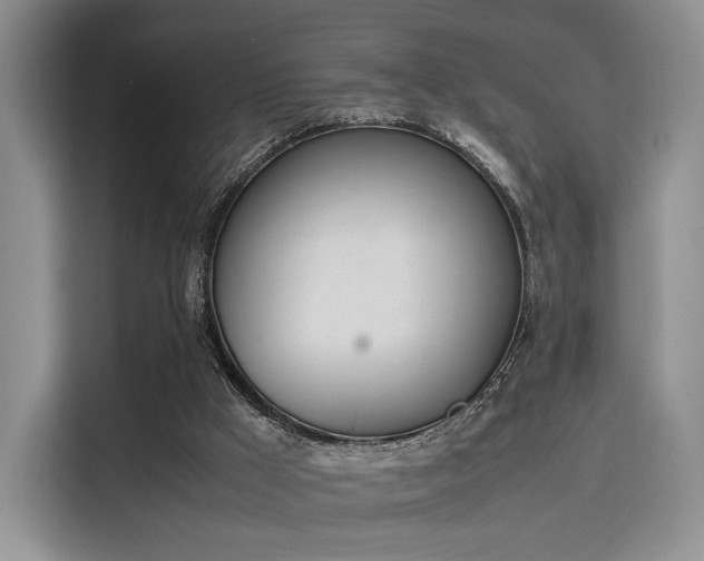 X0000115780009200911201321