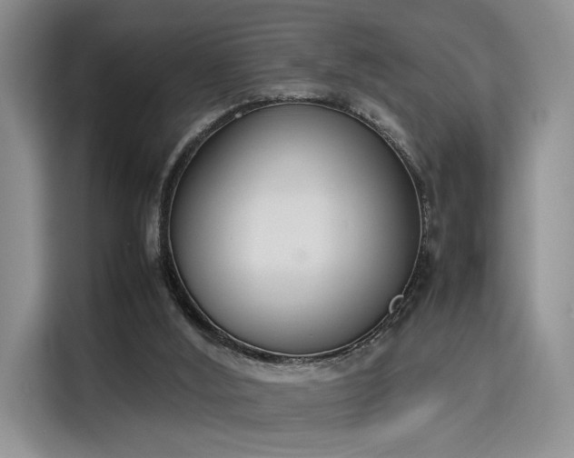 X0000115780012200911201321