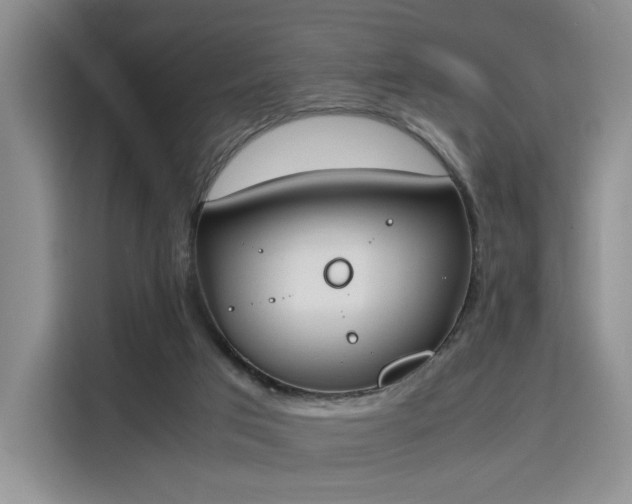 X0000115780017200911201321