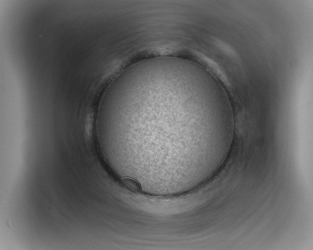 X0000115780018200911201321