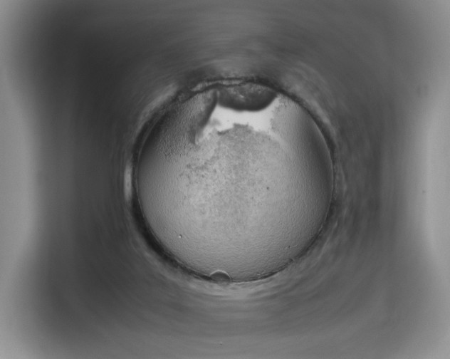 X0000115780019200911201321