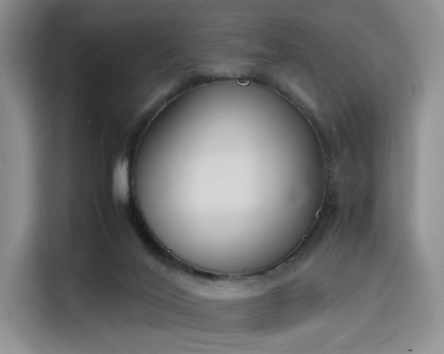 X0000115780020200911201321