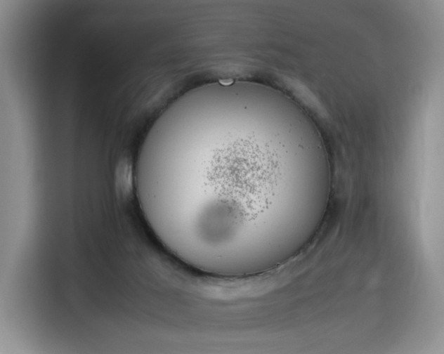 X0000115780021200911201321