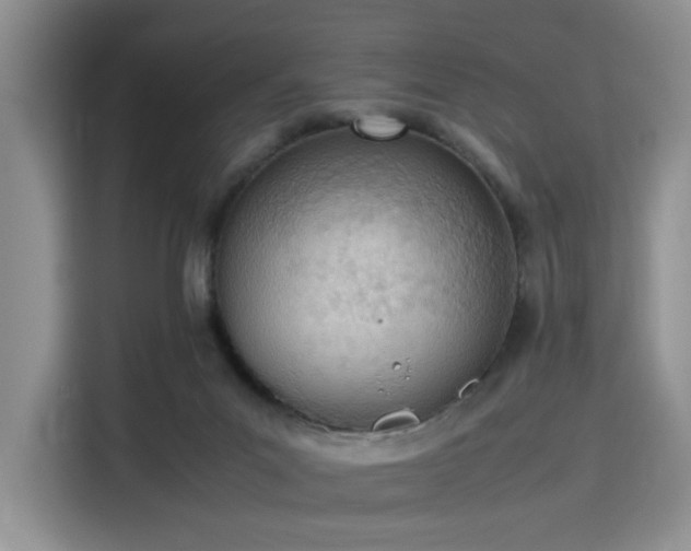 X0000115780023200911201321