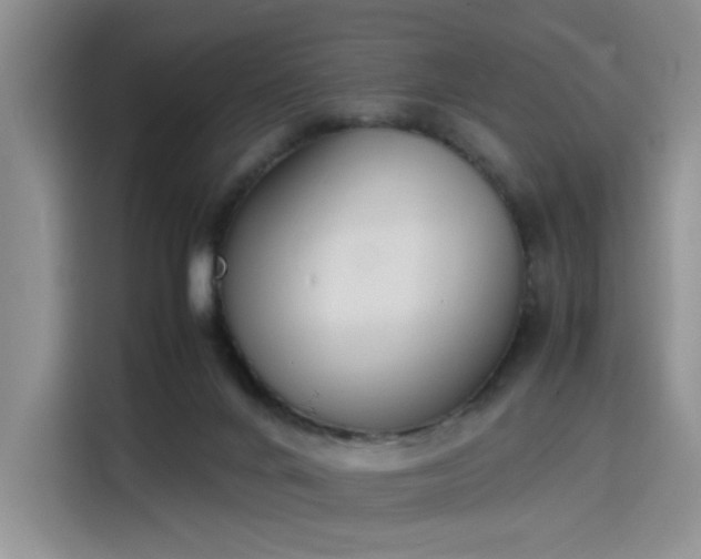 X0000115780024200911201321