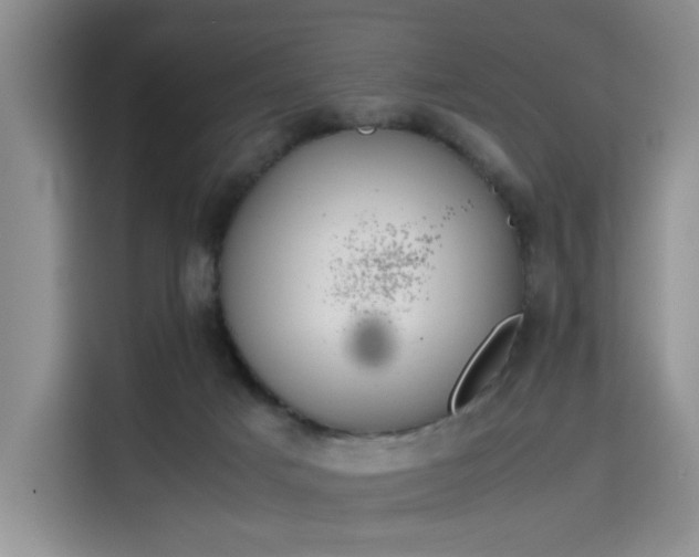 X0000115780025200911201321