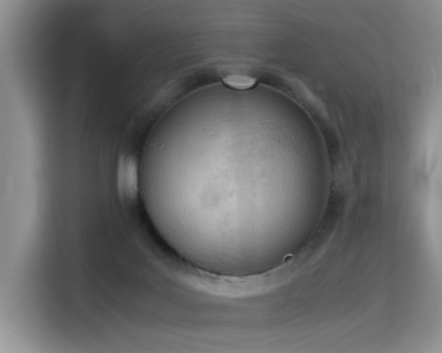 X0000115780027200911201321