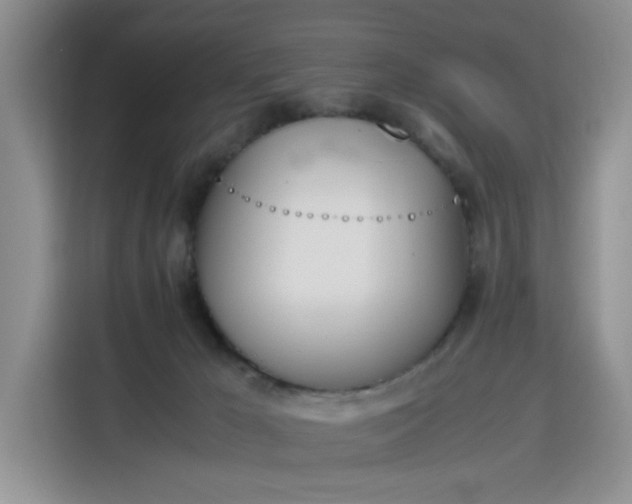 X0000115780029200911201321