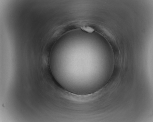 X0000115780035200911201321