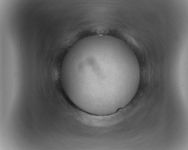 X0000115780039200911201320