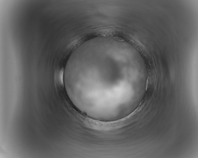 X0000115780047200911201320