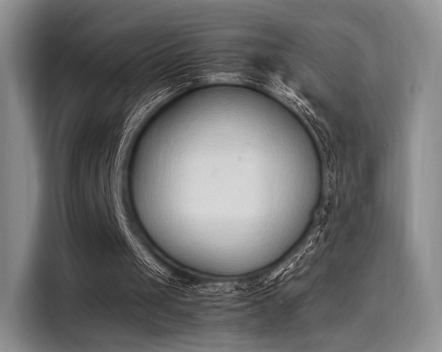 X0000115780049200911201320