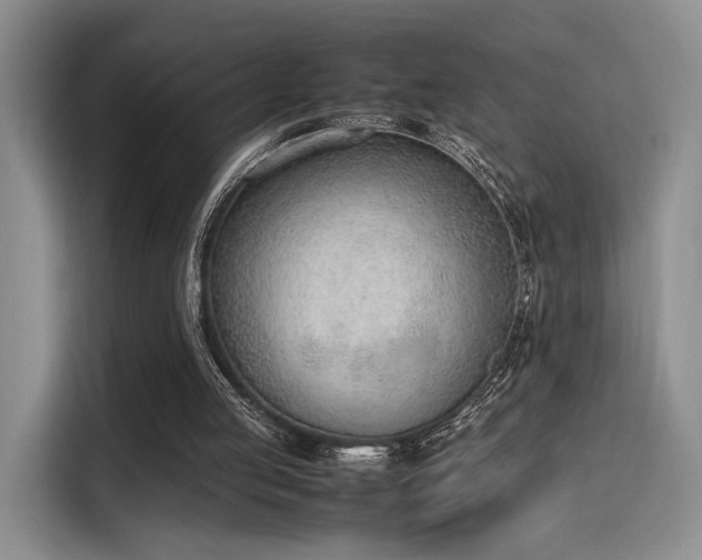 X0000115780053200911201320