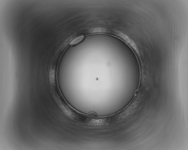 X0000115780057200911201320