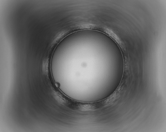 X0000115780058200911201320