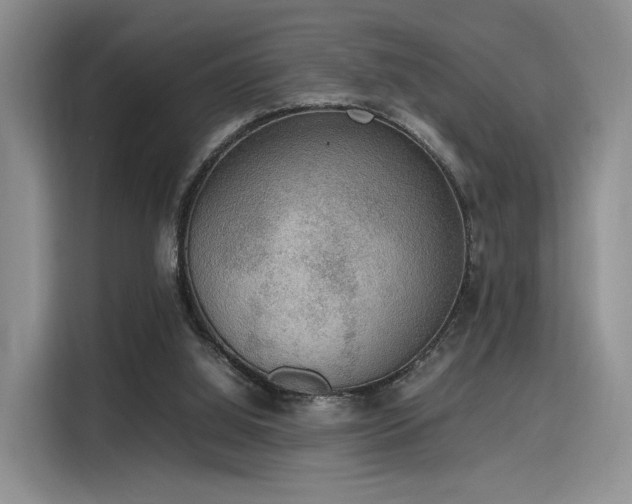 X0000115780060200911201320