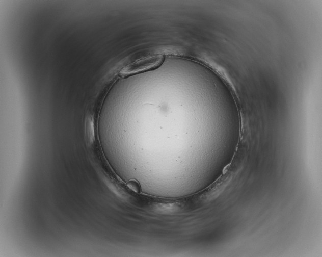 X0000115780061200911201320