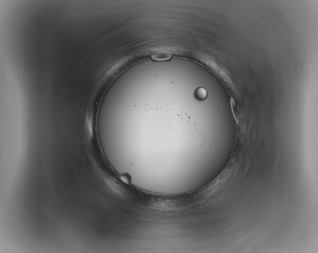 X0000115780062200911201320