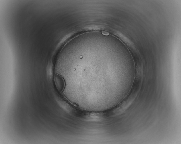 X0000115780064200911201320