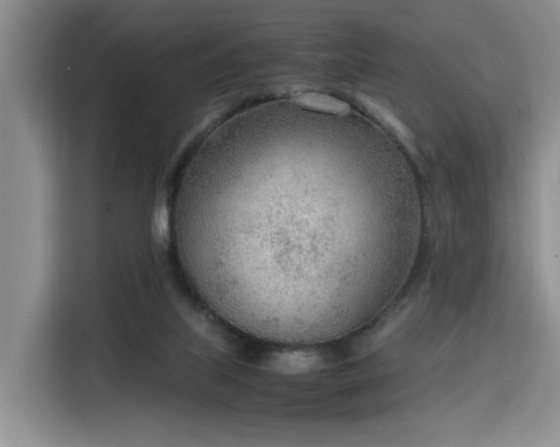 X0000115780067200911201320