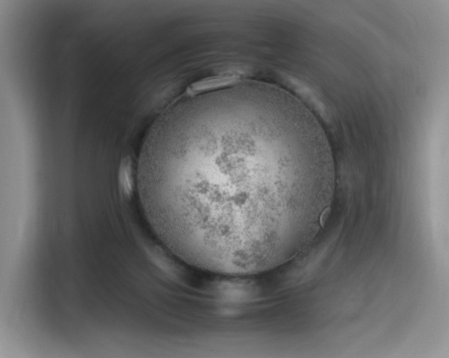 X0000115780069200911201320