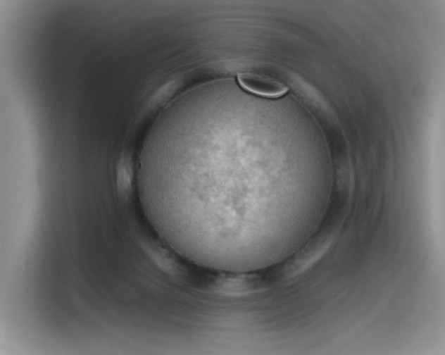 X0000115780072200911201320