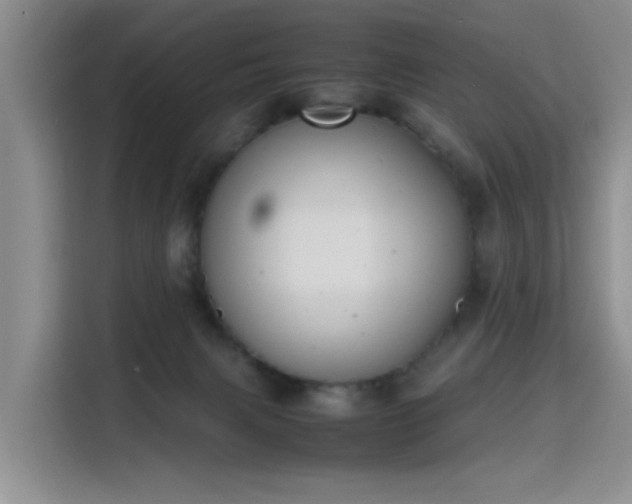 X0000115780079200911201320