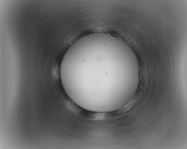 X0000115780090200911201320