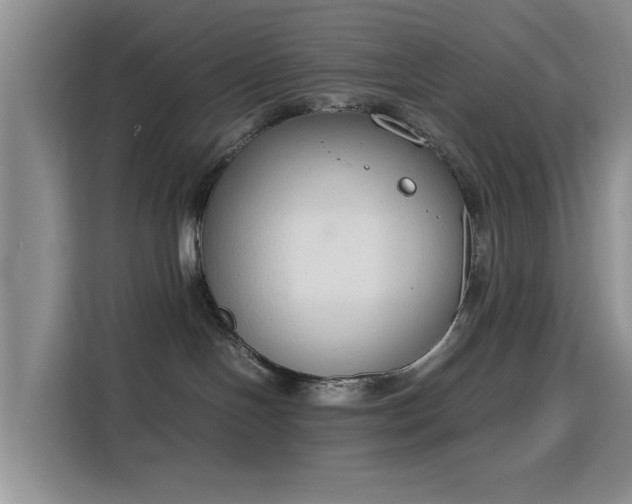 X0000115780094200911201320