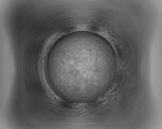 X0000115780097200911201320