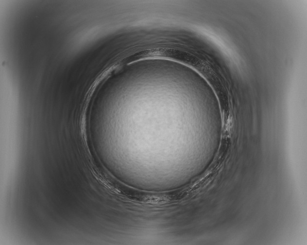 X0000115780099200911201320