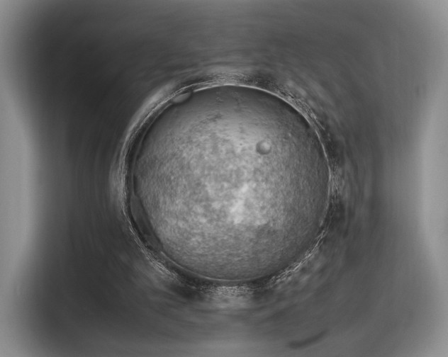 X0000115780101200911201320