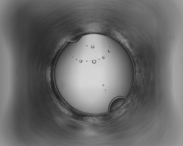 X0000115780106200911201320