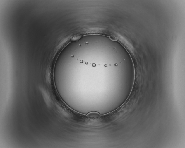 X0000115780107200911201320