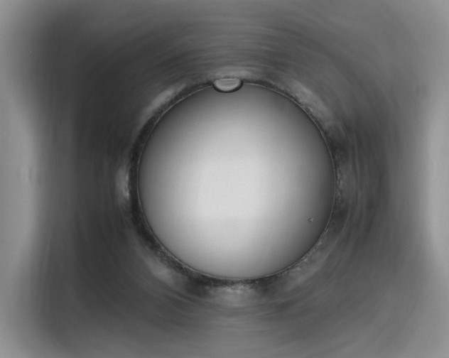 X0000115780112200911201320