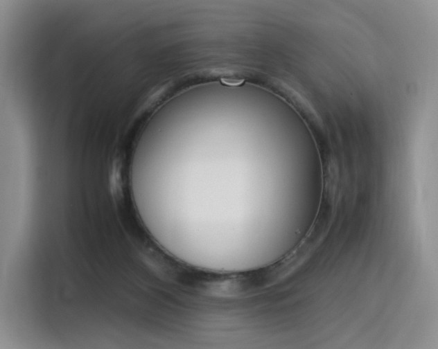 X0000115780116200911201319