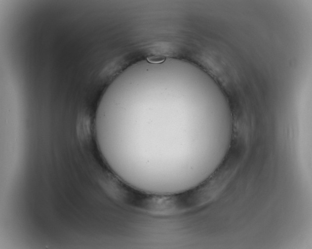 X0000115780117200911201319