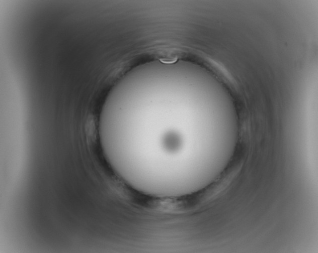 X0000115780121200911201319